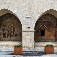 Massa Marittima, loggia with Penis tree