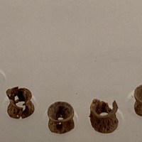 Lindisfarne, salmon vertebrae