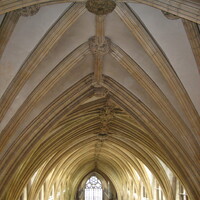 Lincoln Cathedral, vaults from west end