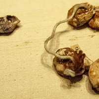 Urumqi, Xinjiang Institute of Archaeology, grave field I, grave 1, bracelet with glass beads and shells (inv. 84LSIM01:C92)