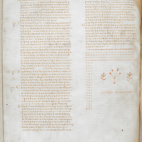 British Library, Royal MS 1 D VIII, fol. 41v with plant tailpiece at the end of the gospel of Luke (Codex Alexandrinus)