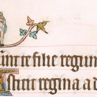 British Library, Add MS 49622, fol. 61r with man's exposed rear